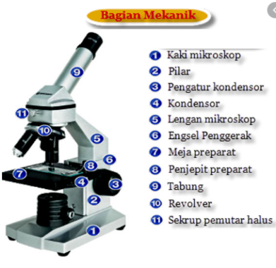 Bagian-Mekanik-Mikroskop