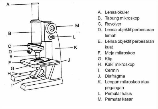 Bagian-Mikroskop