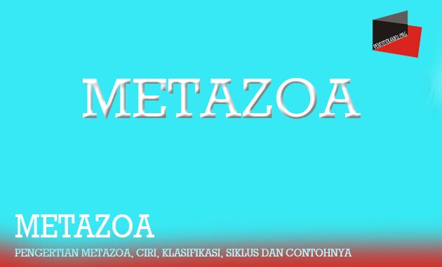 Pengertian Metazoa