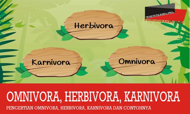omnivora-herbivora-karnivora