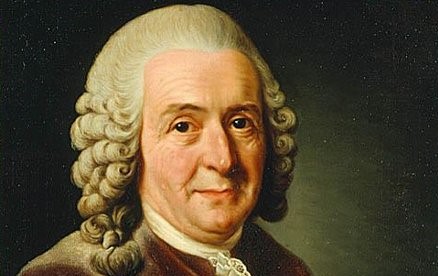 Carolus-Linnaeus-Bapak-Klasifikasi