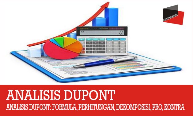 Analisis DuPont