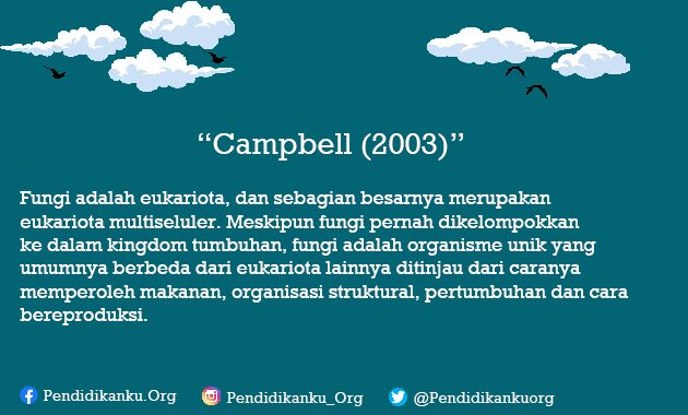 Fungi Menurut Campbell (2003) 