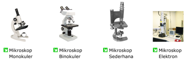 Jenis-Mikroskop