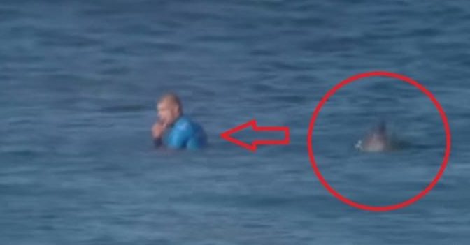 Voici la Vidéo de l'horrible attaque de requin qui a frappé deux femmes en Égypte, la côte de la mer Rouge est actuellement fermée