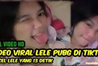Link Full Viral Video Lele 13 Detik Buat Heboh Netizen, Link Video Twitter