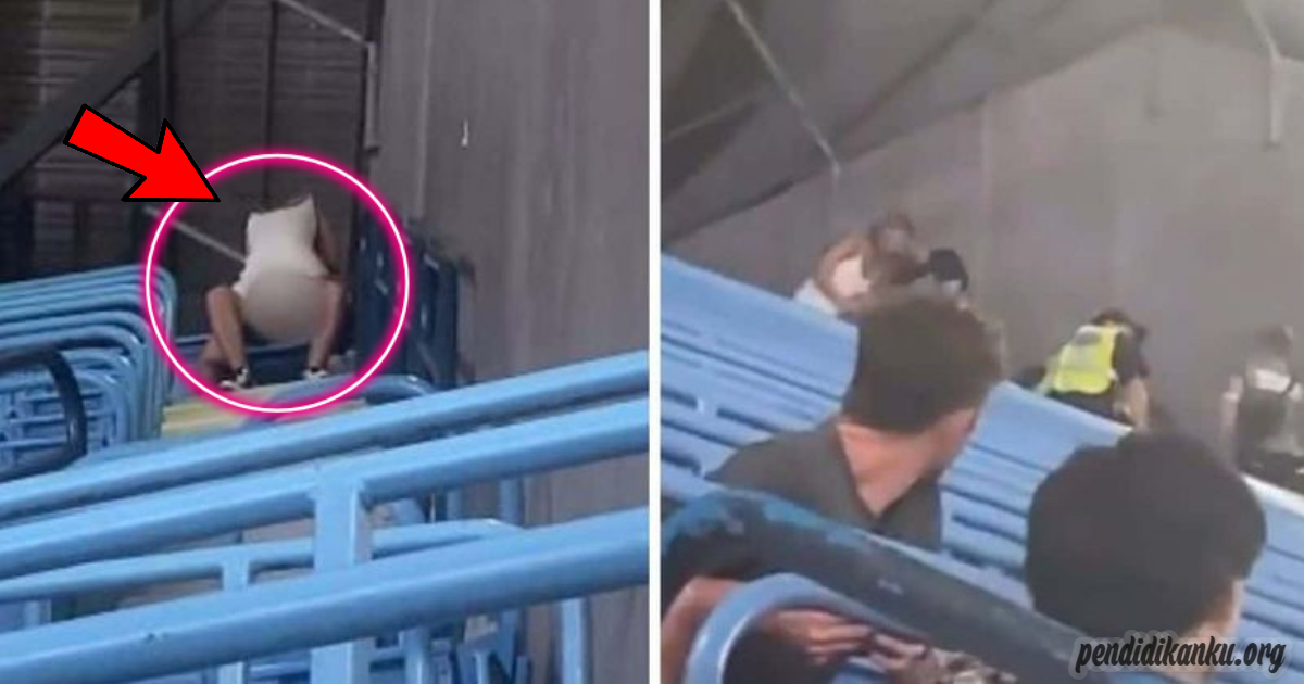 (Latest) Viral Video Toronto Blue Jays Fans Surprised Making Out at Upper Deck Stadium
