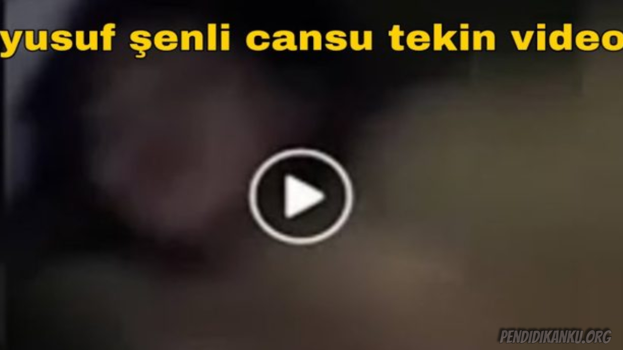 [Update] Full Video Yusuf Senli Cansu Tekin Twitter And TikTok Cansu Viral 2022